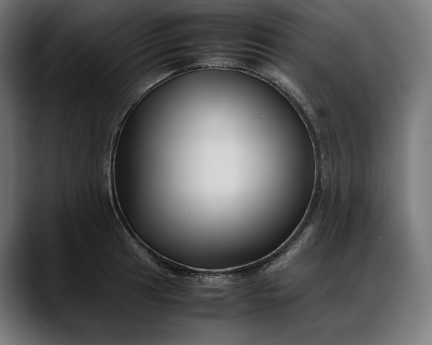 X0000088091041200705251425