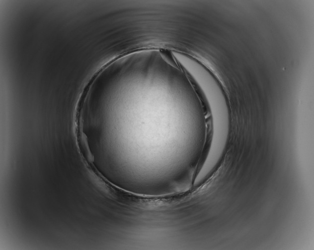 X0000088091042200705251425