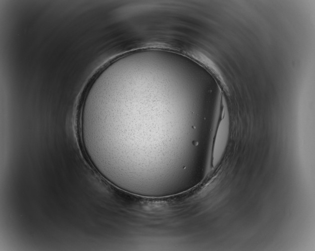 X0000088091043200705251425