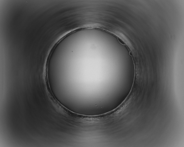 X0000088091044200705251425