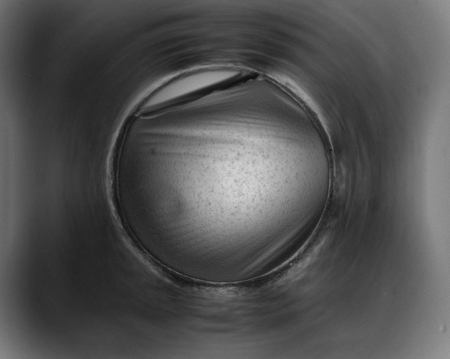 X0000088091045200705251425