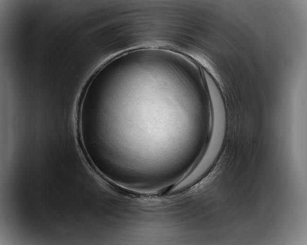 X0000088091046200705251425