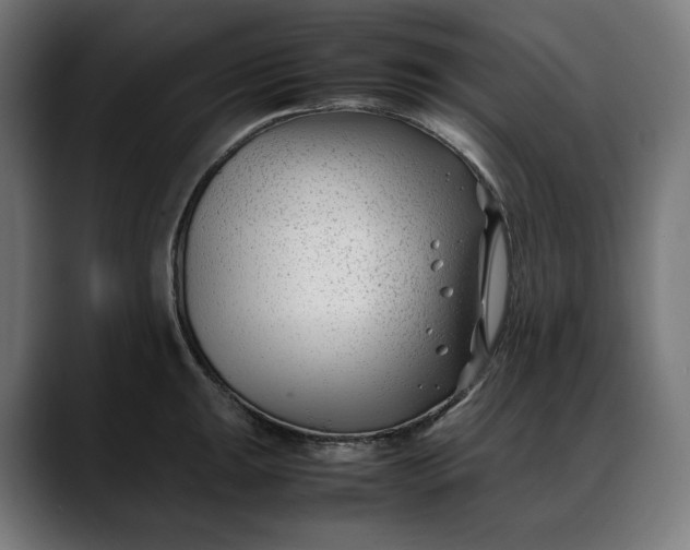 X0000088091047200705251425