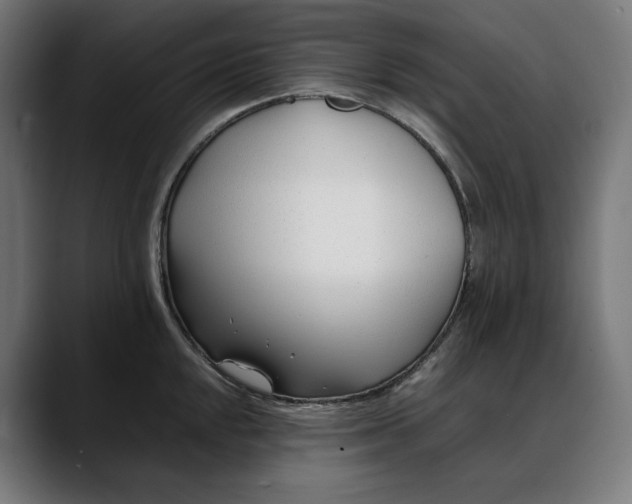 X0000088091048200705251425