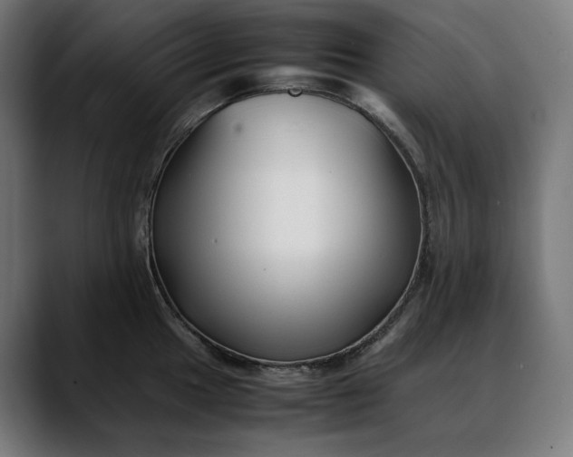 X0000088091049200705251425