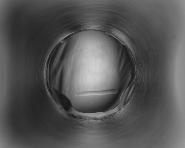 X0000088091050200705251425