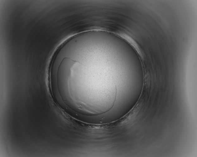 X0000088091051200705251425