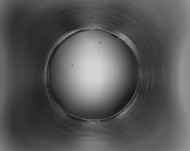 X0000088091052200705251425