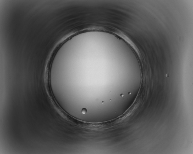 X0000088091053200705251425