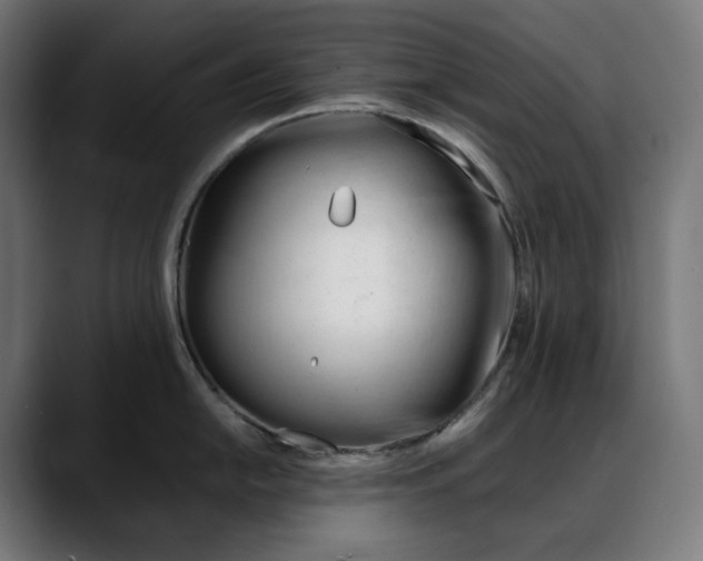 X0000088091054200705251425