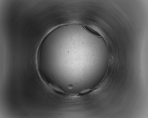 X0000088091055200705251425