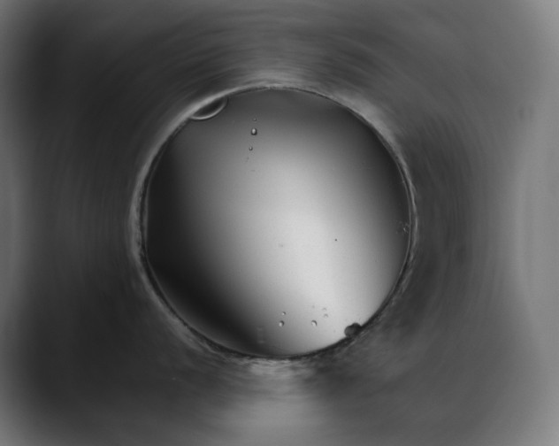 X0000088091056200705251425