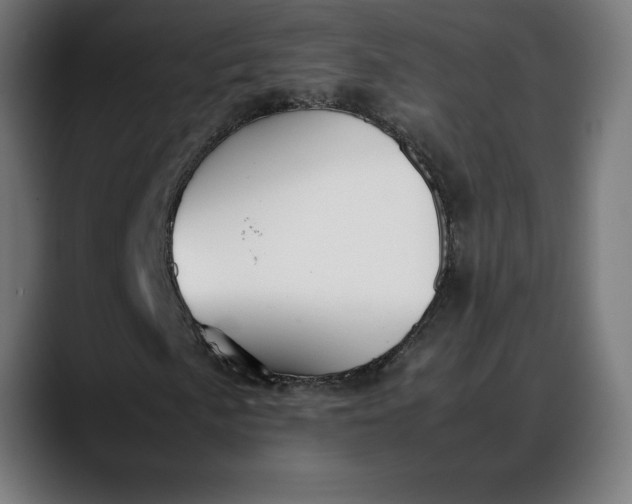 X0000088091057200705251424