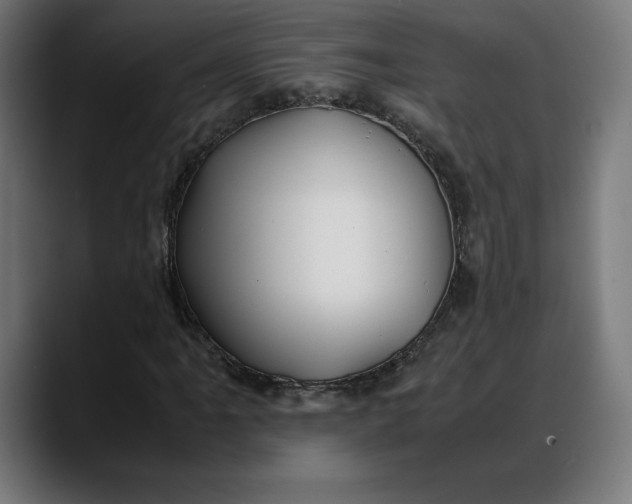 X0000088091061200705251424