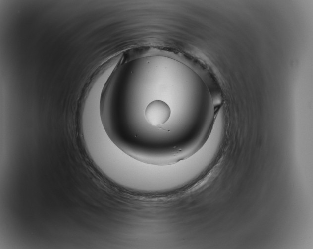 X0000088091065200705251424