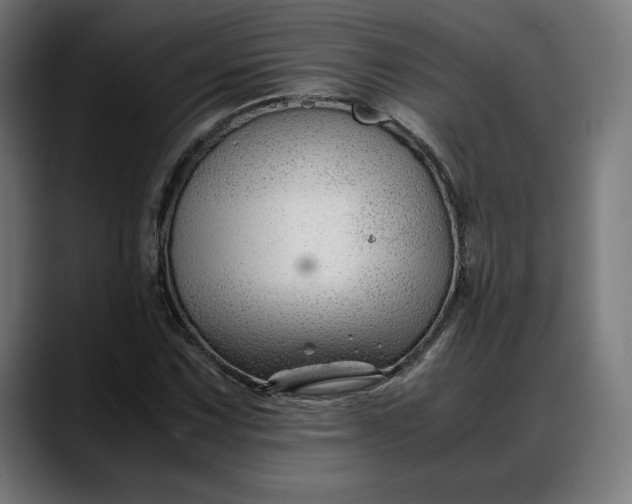 X0000088091067200705251424