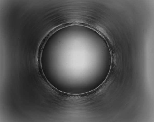 X0000088091068200705251424