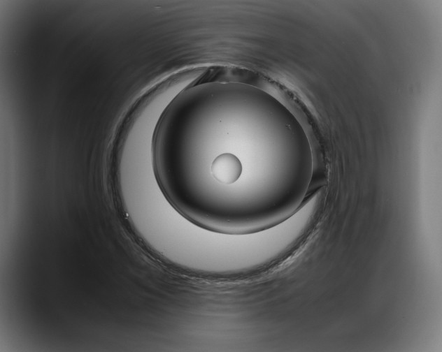 X0000088091069200705251424