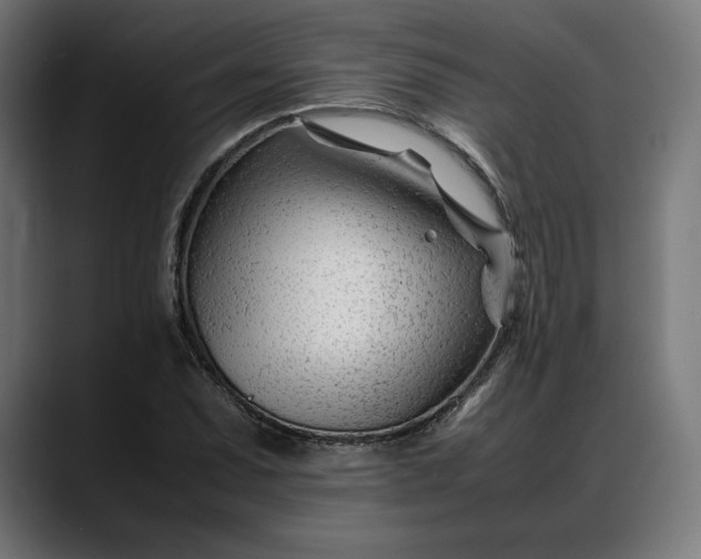 X0000088091071200705251424