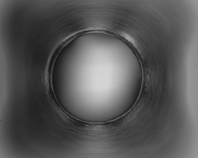 X0000088091072200705251424