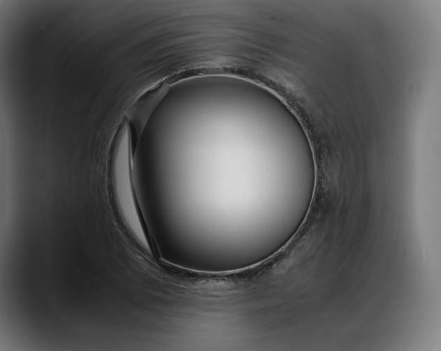 X0000088091073200705251424