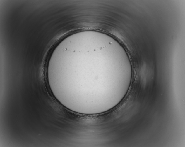 X0000088091074200705251424