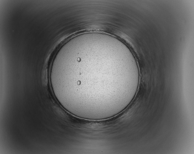 X0000088091075200705251424