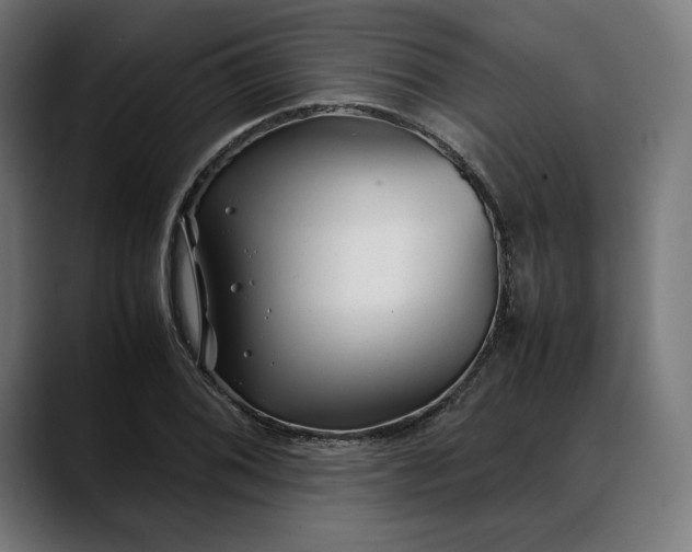 X0000088091076200705251424