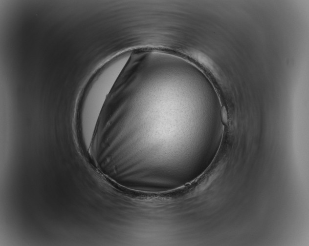 X0000088091077200705251424