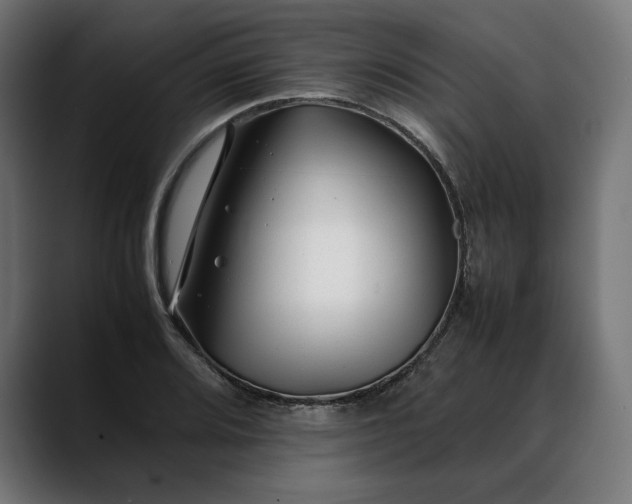 X0000088091080200705251424