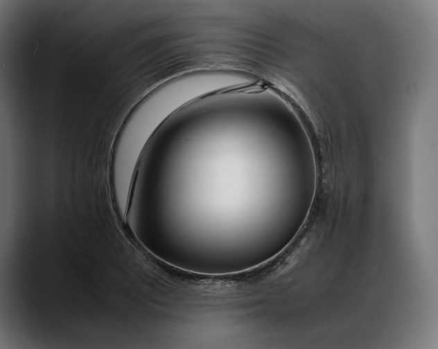 X0000088091081200705251424