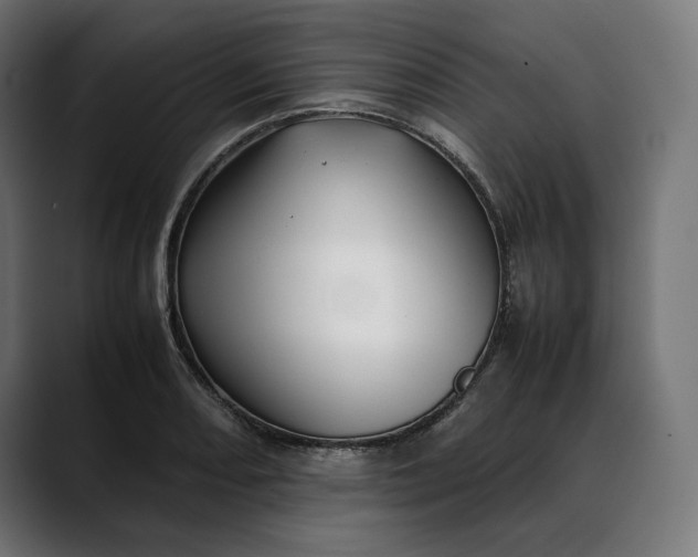 X0000088091082200705251424