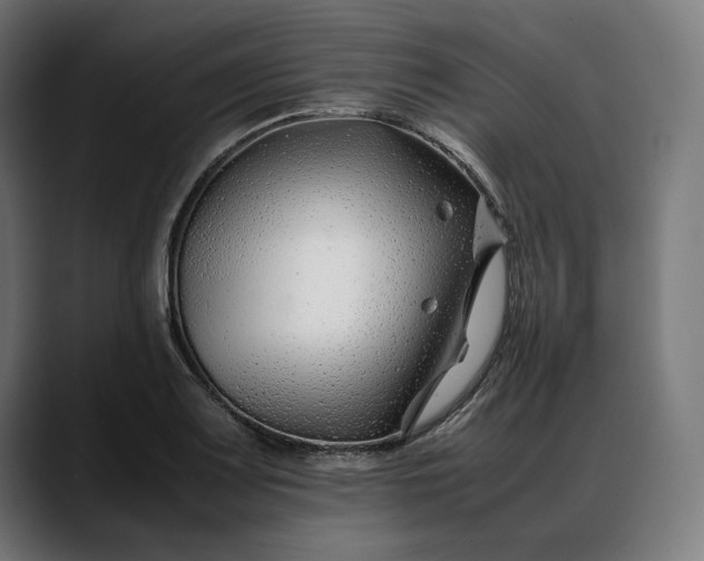 X0000088091083200705251424