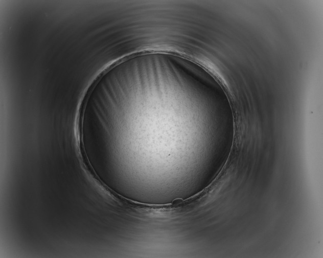 X0000088091084200705251424