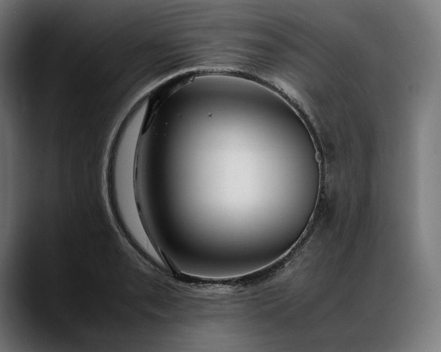 X0000088091085200705251424