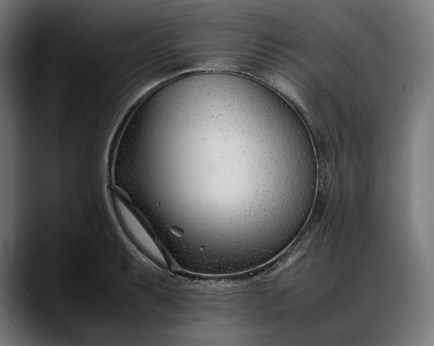 X0000088091087200705251424