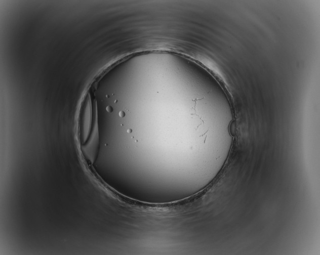 X0000088091088200705251424