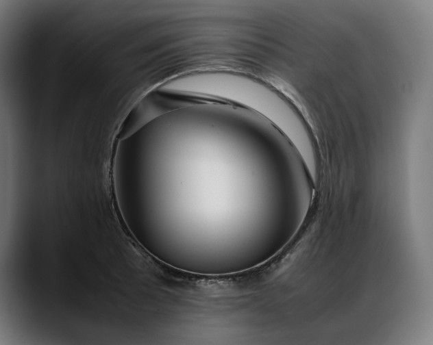 X0000088091089200705251424