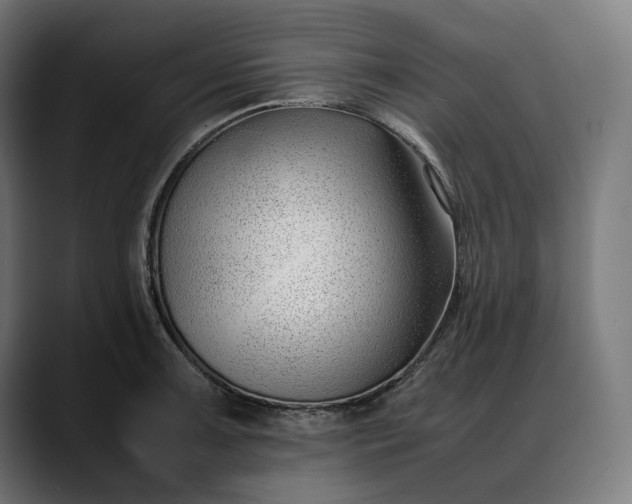 X0000088091091200705251424