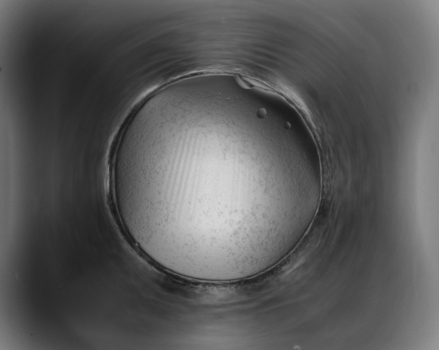 X0000088091095200705251424