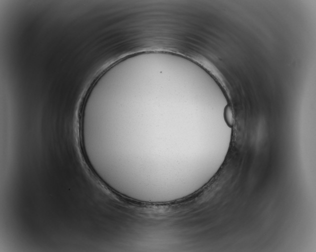 X0000088091096200705251424