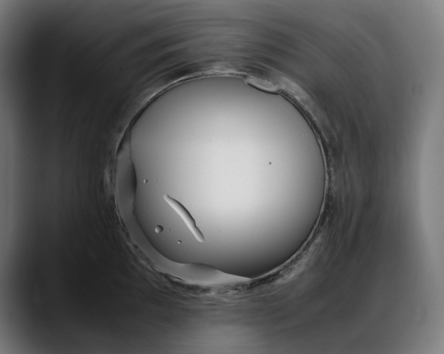 X0000088091097200705251423