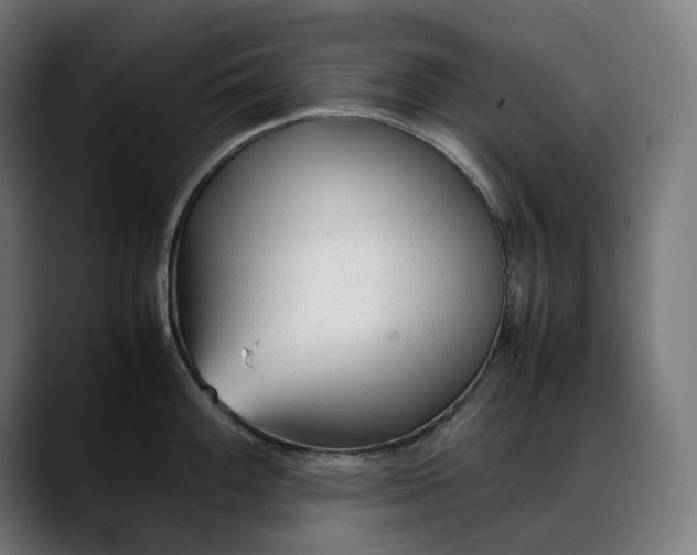 X0000088091100200705251423