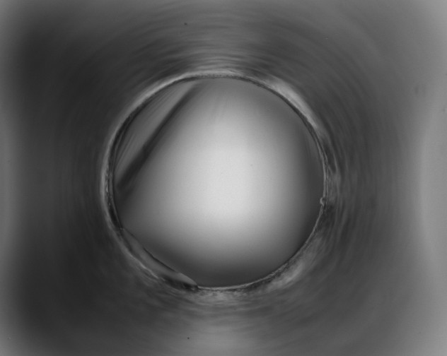 X0000088091101200705251423