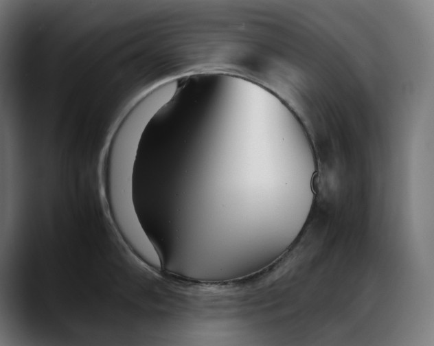 X0000088091102200705251423