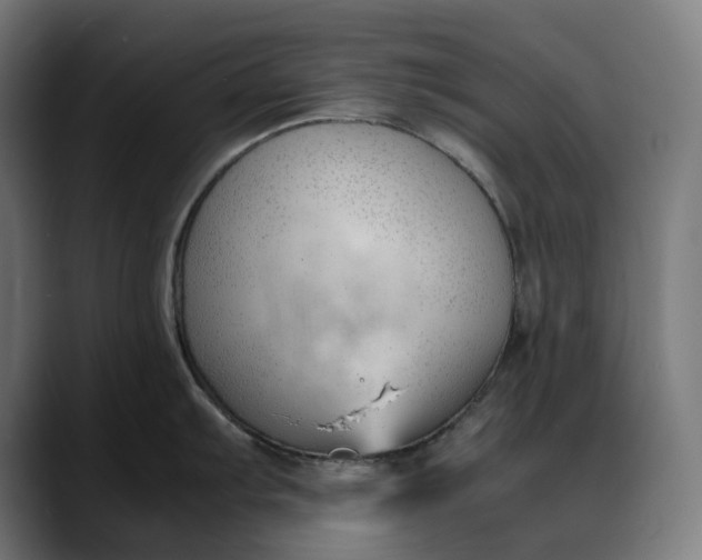 X0000088091103200705251423