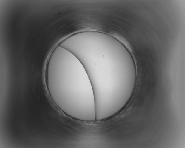 X0000088091104200705251423