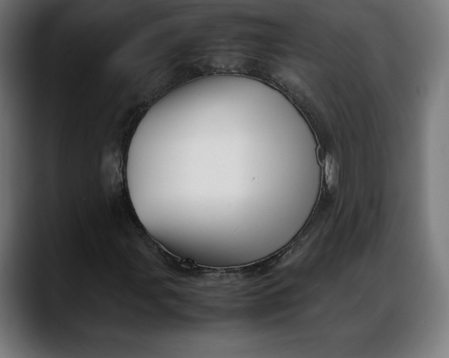 X0000088091107200705251423