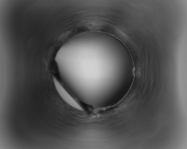 X0000088091108200705251423