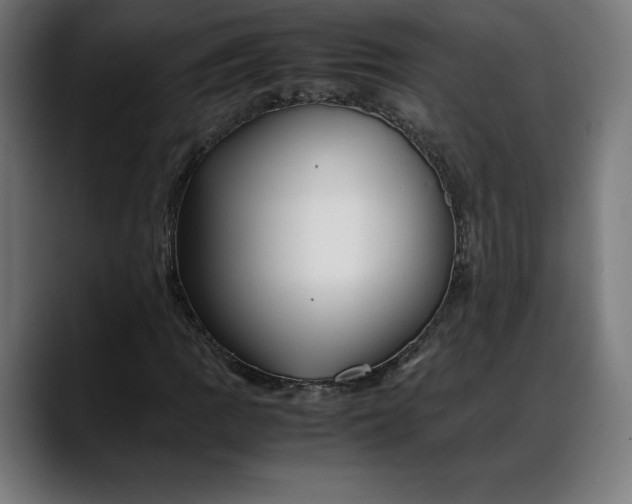 X0000088091109200705251423